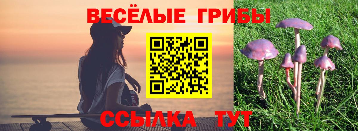 Галлюциногенные грибы Psilocybe  Вход с VPN  Гусев  Псилоцибиновые грибы Magic Shrooms 