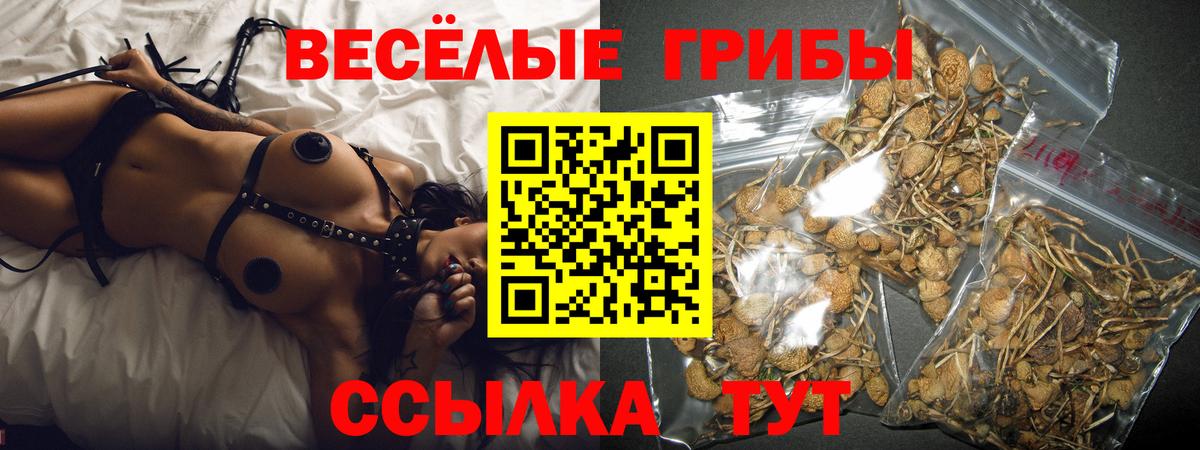 Псилоцибиновые грибы ЛСД Гусев